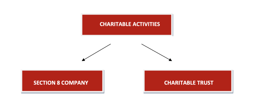 What structure can be used for carrying out Charitable Activities